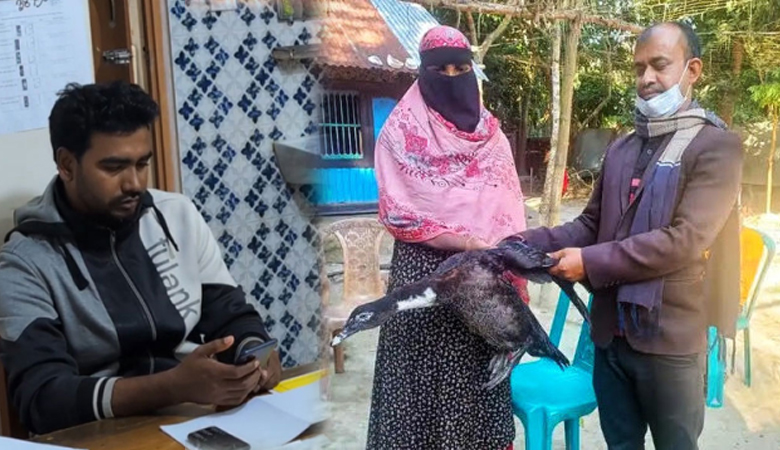 বরিশালে গৃহবধূর সেই হাঁস ফেরত দিলো এনজিও, মাঠকর্মী বরখাস্ত