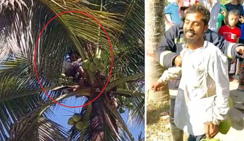 ডাব খেয়ে গাছের ওপরেই ঘুম, উদ্ধার করলো ফায়ার সার্ভিস