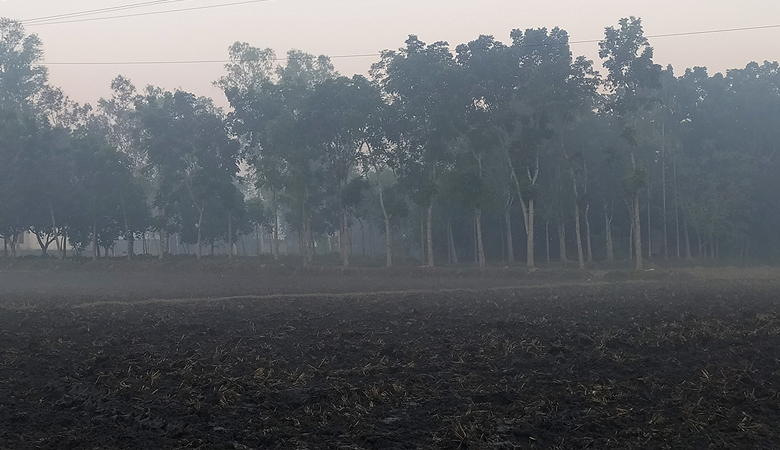 টানা এক সপ্তাহ ধরে শৈত্যপ্রবাহের কবলে তেঁতুলিয়া