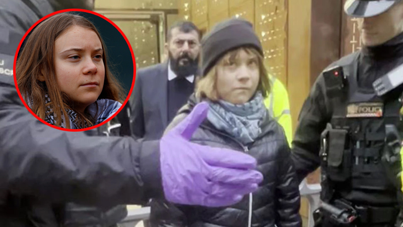 লন্ডনে ফিলিস্তিনের প্ল্যাকার্ড হাতে গ্রেফতার গ্রেটা থুনবার্গ