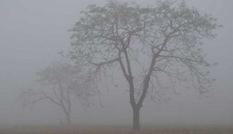 ৪৪ জেলায় শৈত্যপ্রবাহ, অব্যাহত থাকাতে পারে কয়েকদিন