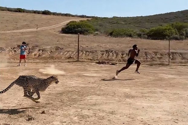 দ্রুতগতির চিতার সঙ্গে দৌড় প্রতিযোগিতায় ইউটিউবার