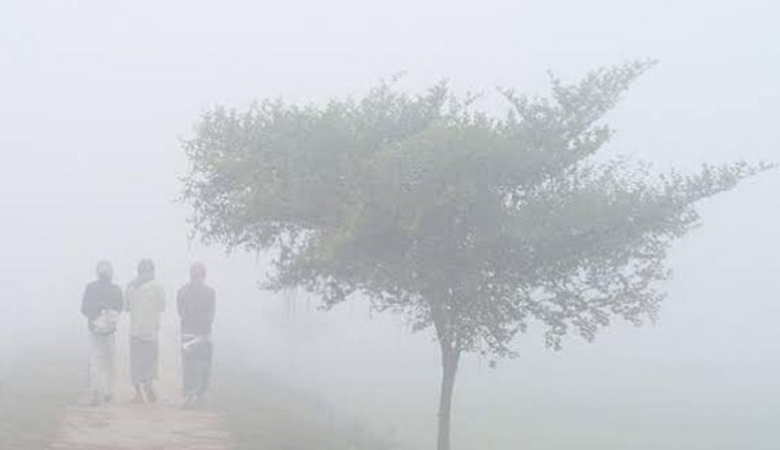 মৌলভীবাজারে কনকনে শীত, শ্রীমঙ্গলে তাপমাত্রা ৭ ডিগ্রি