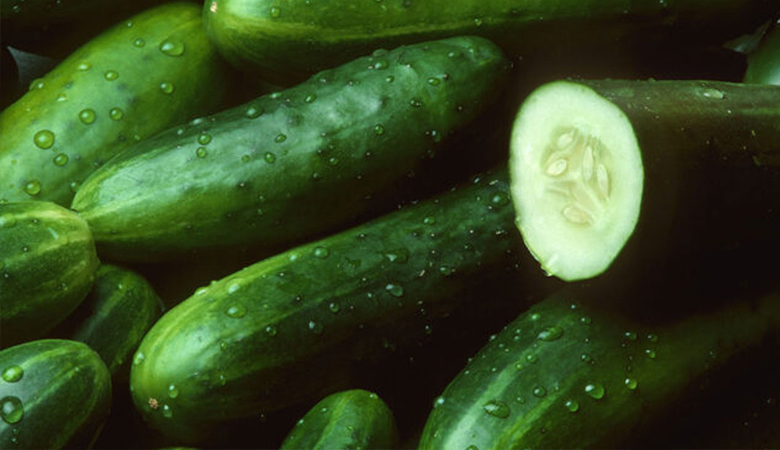 শীতে শসা খাওয়া নিরাপদ, জানুন সঠিক নিয়ম