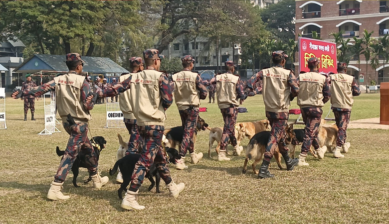 ঢাকাসহ তিন জেলায় নামছে ৩৮ প্লাটুন বিজিবি