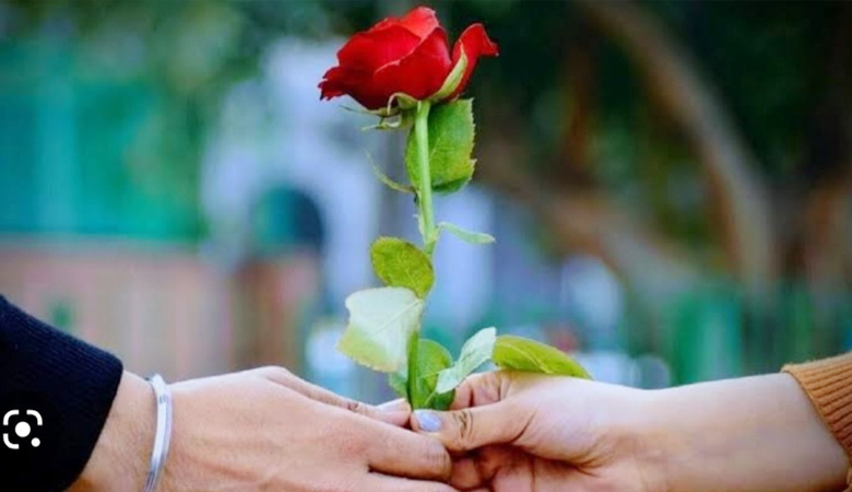 আজ প্রিয়জনকে গোলাপ উপহার দিন