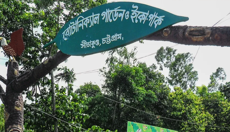 গলাকাটা অবস্থায় জঙ্গলে হাঁটছিল শিশু, উদ্ধারের পর চলছে চিকিৎসা