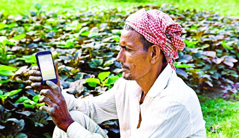 তেল না পেয়ে কৃষিমন্ত্রীকে কৃষকের ফোন
