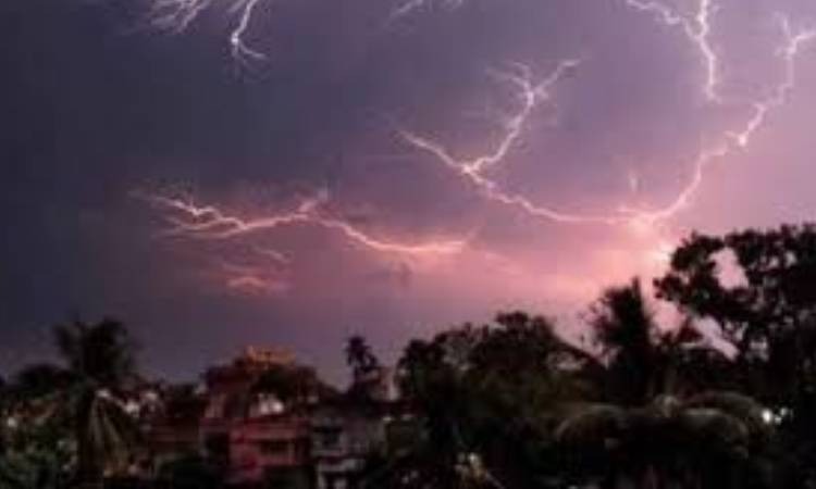 শাহনেওয়াজ কবির ইমনের দুটি বৈশাখী কবিতা