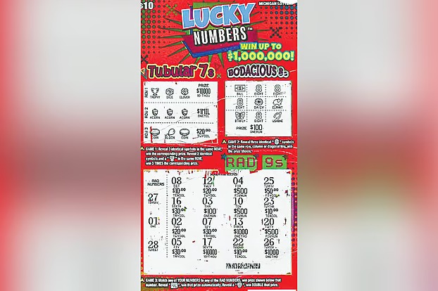 বেড়াতে গিয়ে হঠাৎ মিলল ১০ লাখ ডলারের পুরস্কার