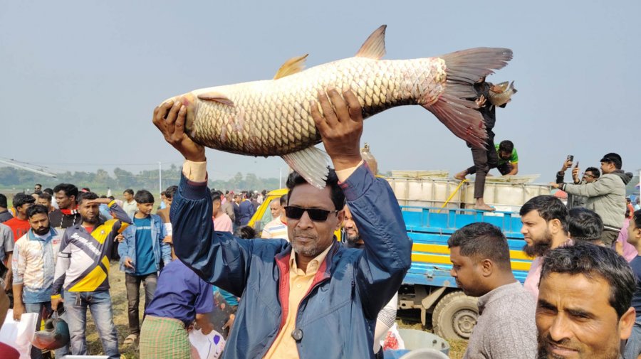 ‘জামাই মেলা’ শুধু মেলা নয়, পারিবারিক মিলনমেলা