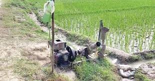 ডিজেল সংকট ও লোডশেডিংয়ে কৃষিতে বিপর্যয়