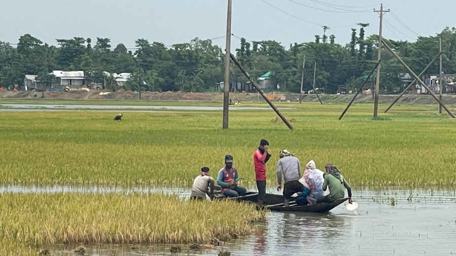 হাওরে তলিয়ে গেছে ১০ হাজার হেক্টর ধানক্ষেত
