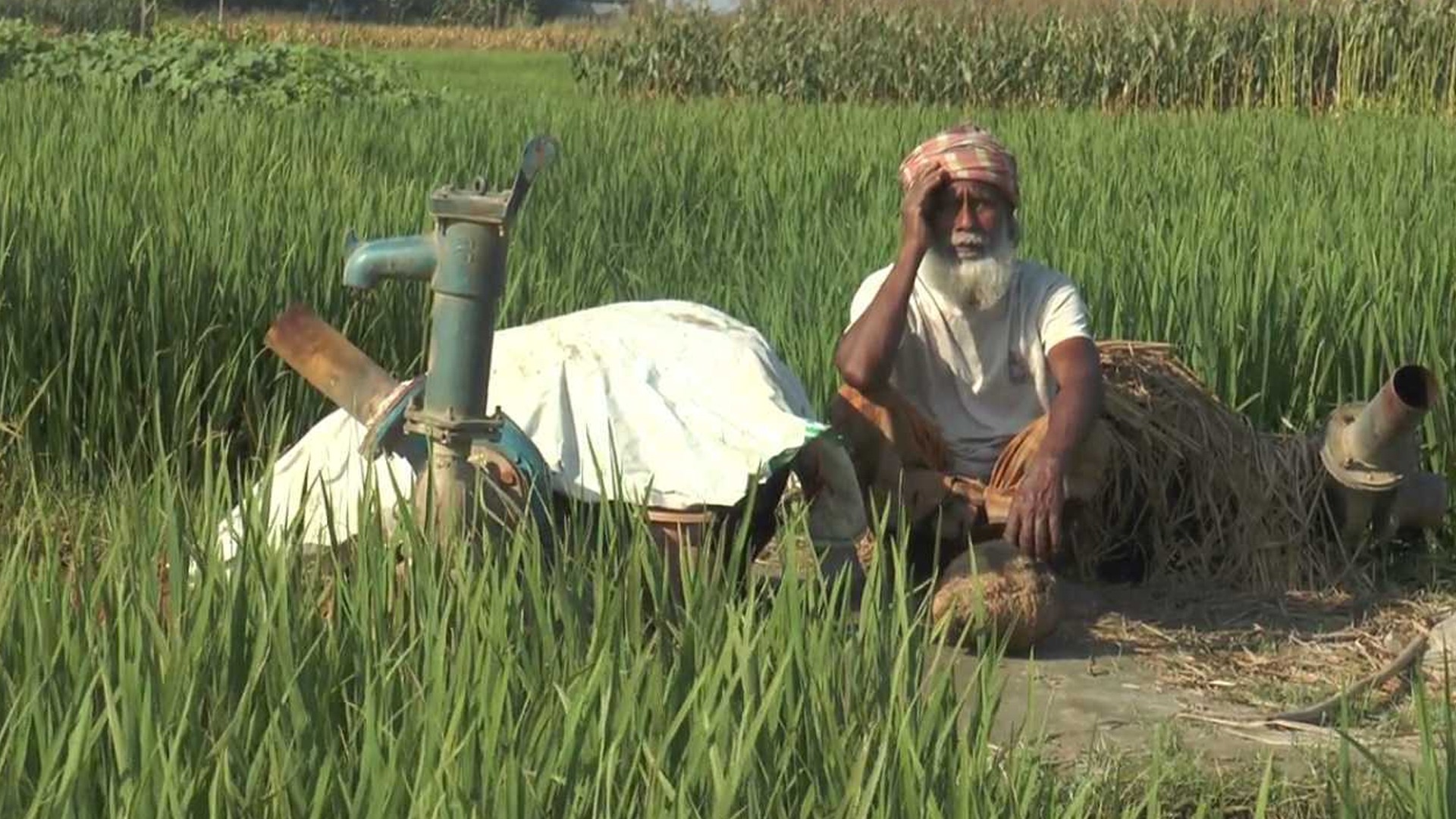 কৃষি ও অর্থনীতির বহুমাত্রিক ঝুঁকি