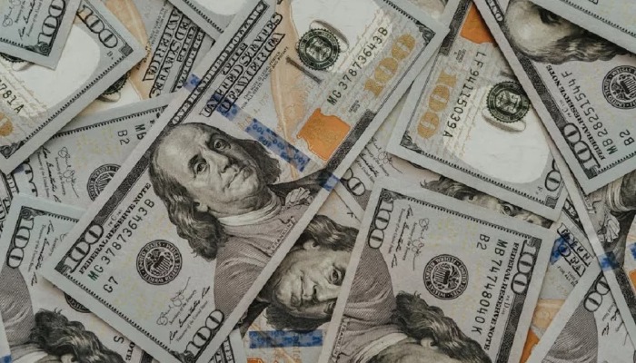 নয় মাসে বিদেশি ঋণ ছাড় কমেছে ১৯ শতাংশ