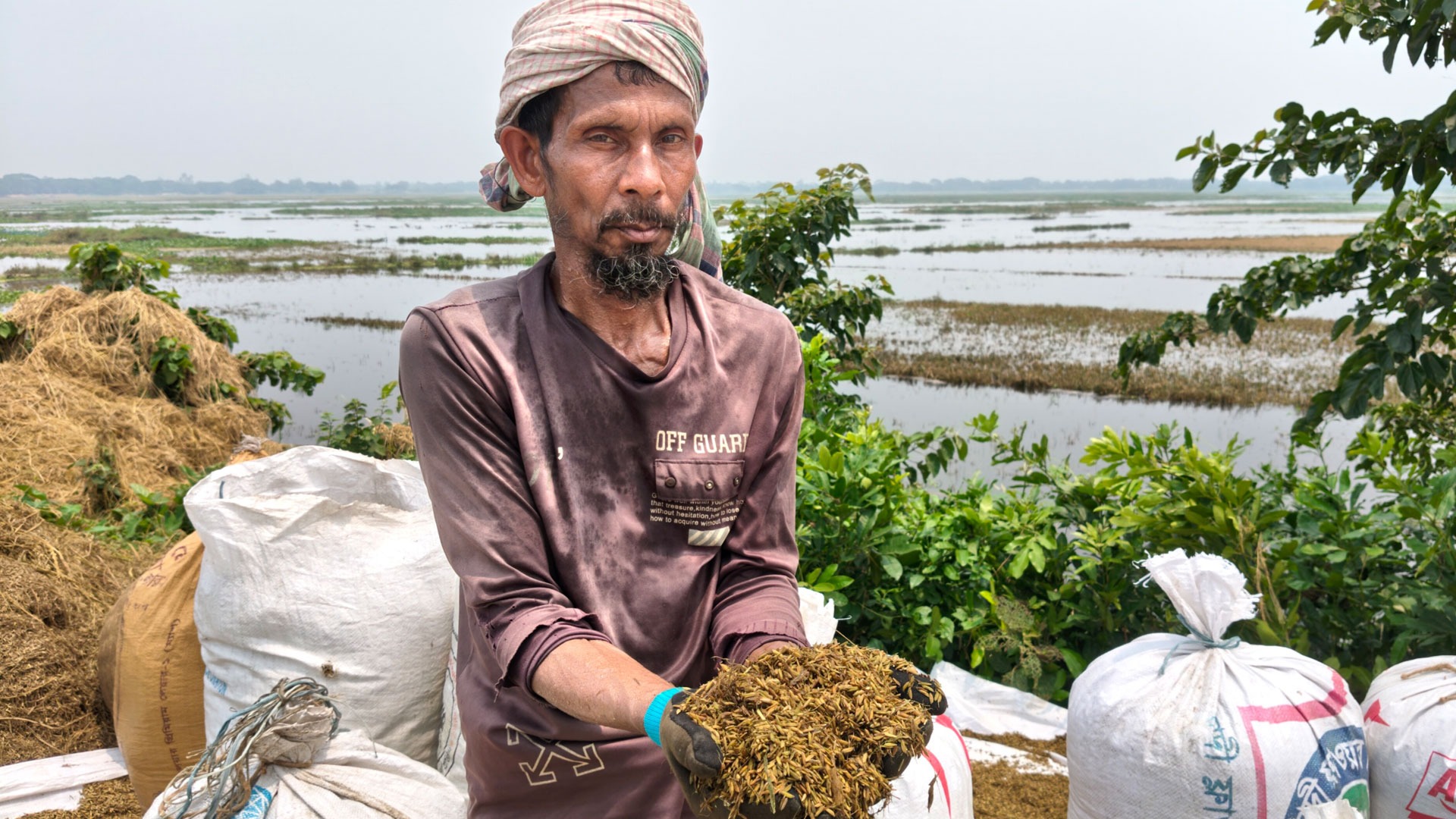 হাওরে ফসলহানির ঢেউ কি লাগবে চালের দামে?