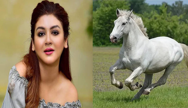 ঘোড়ার মাংসের অবৈধ বাণিজ্য বন্ধে হাইকোর্টে রিট জয়া আহসানরে