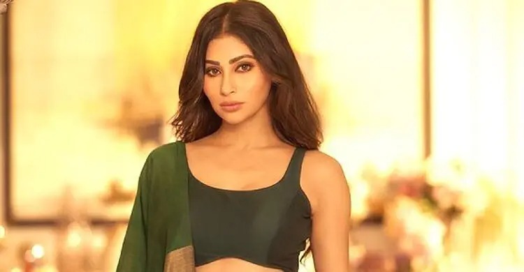 বিচ্ছেদ গুঞ্জনে মুখ খুললেন মৌনী রায়