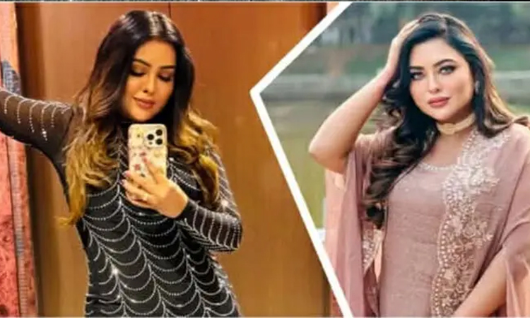এফডিসিতে নায়কের ড্রাইভার সেজে নায়িকার আইফোন চুরি