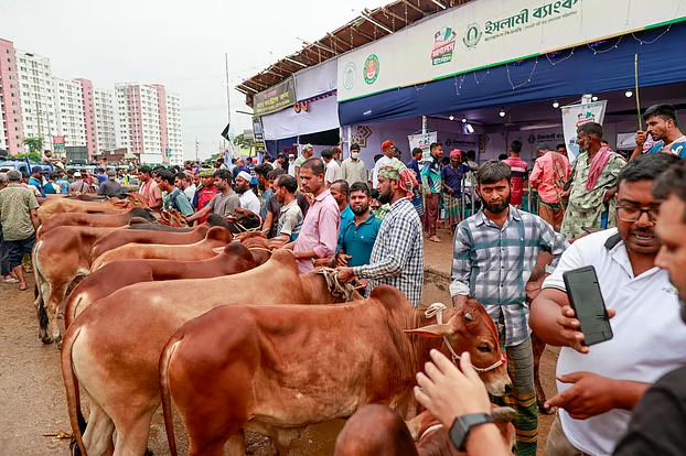 শেষ মুহূর্তের বৃষ্টিতে রাজধানীর পশুর হাটে ধস