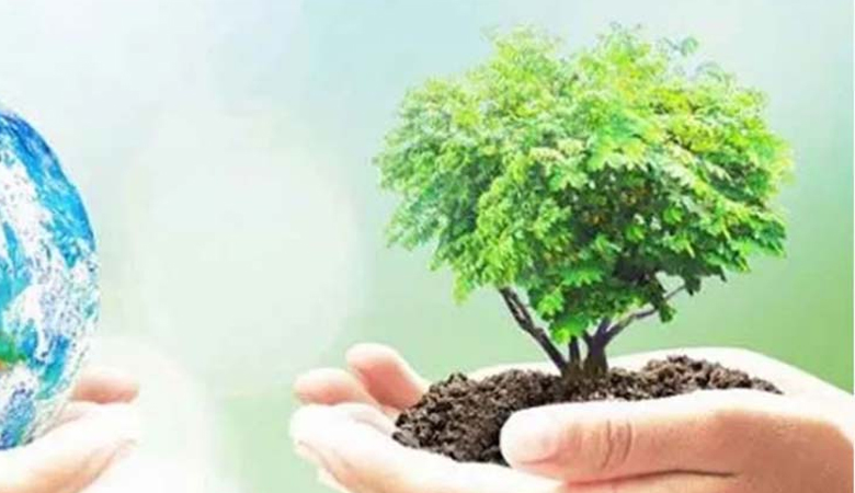 বৃক্ষরোপণে ৫৩ কোটি ৬৬ লাখ টাকার প্রণোদনা