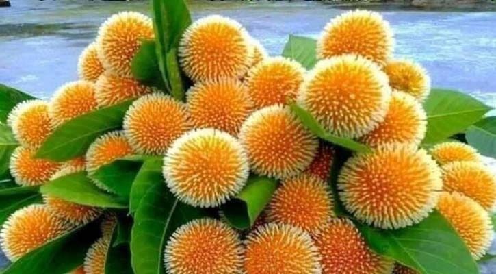 বিরহী মেঘের ডানায় ভেসে এলো কাব্য আর ছন্দময় আষাঢ়