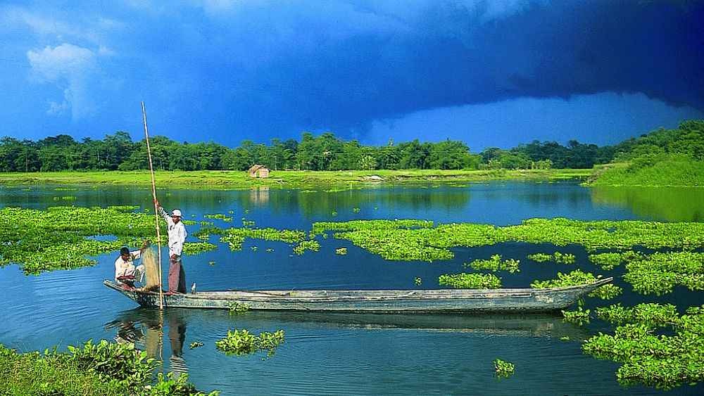 আষাঢ়ের স্নিগ্ধ আহ্বান-প্রকৃতি, সংস্কৃতি ও জীবনরক্ষার প্রত্যয়