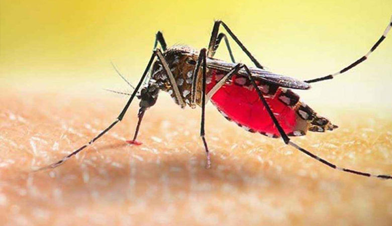 একদিনে ডেঙ্গুতে ৫ জনের মৃত্যু, হাসপাতালে ১২৪