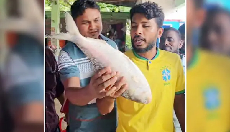 সাত হাজার টাকায় বিক্রি হলো এক ইলিশ