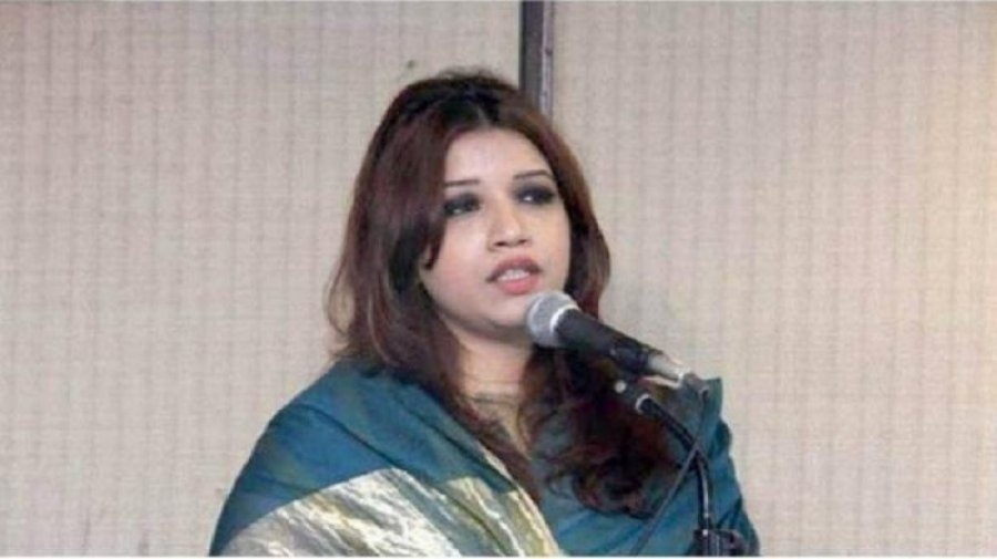 সার্ক বাংলাদেশের ভবিষ্যতের গুরুত্বপূর্ণ হাতিয়ার: প্রতিমন্ত্রী