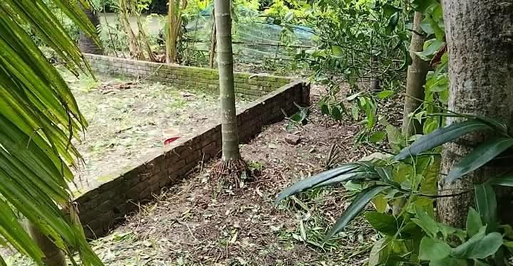 গ্রাম্য আদালতের রায় অমান্যের অভিযোগে জমি দখলচেষ্টা, বাগেরহাটে উত্তেজনা