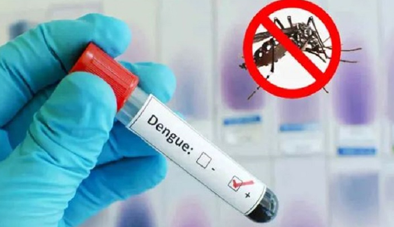 ডেঙ্গুতে ৩ জনের মৃত্যু, হাসপাতালে ভর্তি ৩৭২ জন