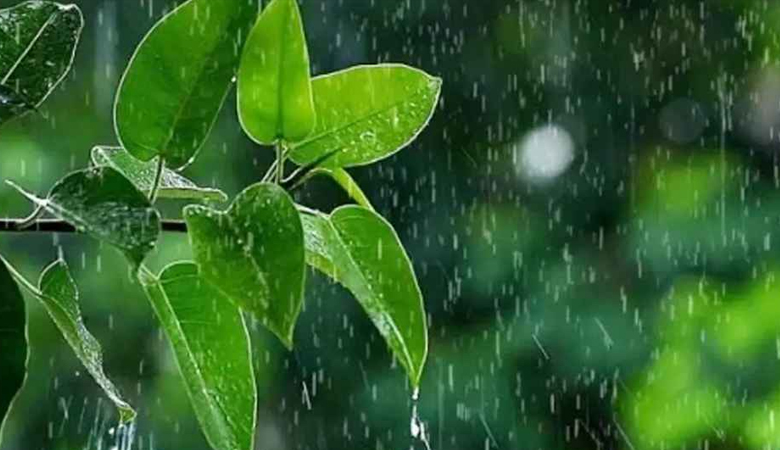গভীর নিম্নচাপের প্রভাবে টানা পাঁচ দিন বৃষ্টির পূর্বাভাস