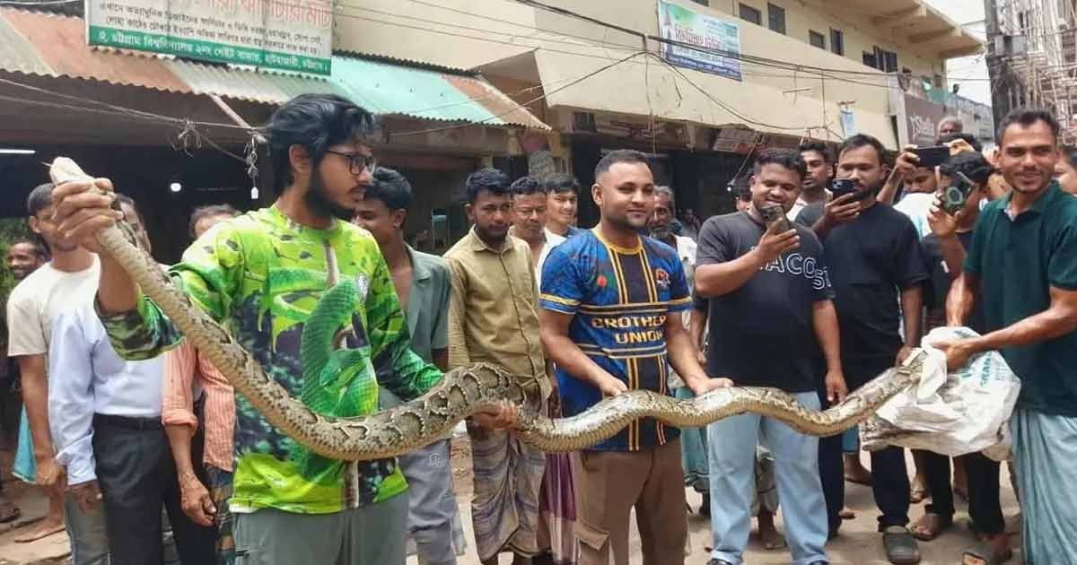 চট্টগ্রাম বিশ্ববিদ্যালয়ে উদ্ধার অজগর অবমুক্ত গহীন অরণ্যে
