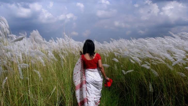 প্রকৃতির অপরূপ সৌন্দর্য আর মন জুড়ানো ‘ঋতুরানি’ শরৎকাল