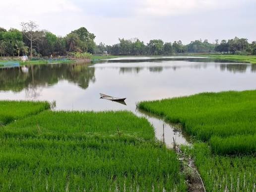 হারিয়ে যাওয়া মানেই শেষ হয়ে যাওয়া নয়