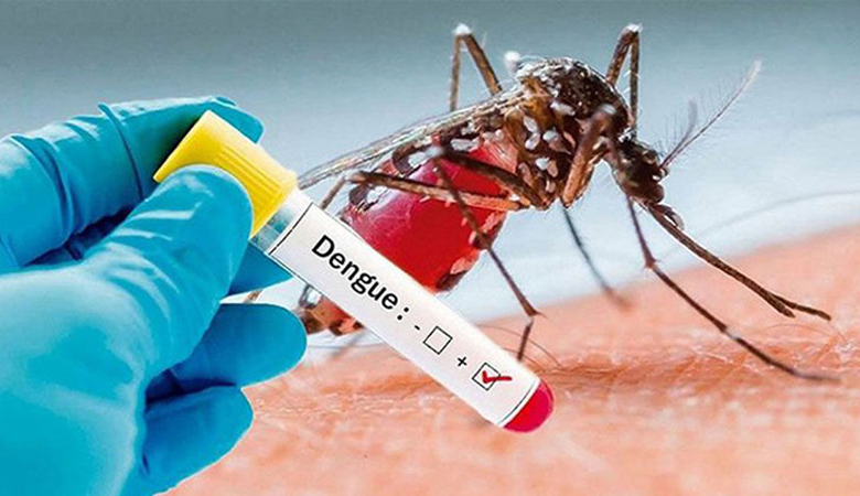 ডেঙ্গুতে আরো ৩ জনের মৃত্যু