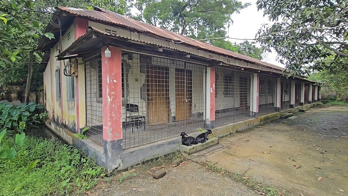 দুই যুগেও চালু না হওয়ায় অরক্ষিত কার্যালয়ে চরে ছাগল