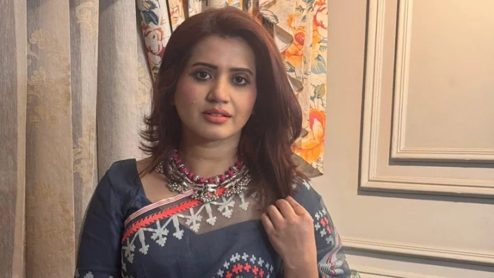 কনসার্ট বন্ধের ঘটনা নতুন নয়: ন্যান্সি