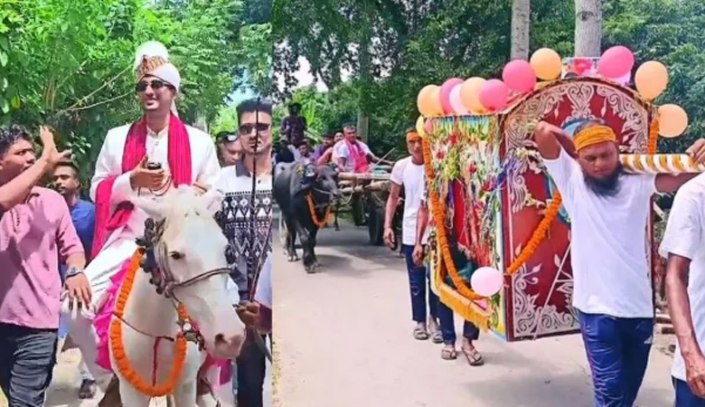 ঘোড়ায় বর, পালকিতে কনে; মহিষ-গরুর গাড়িতে বরযাত্রী