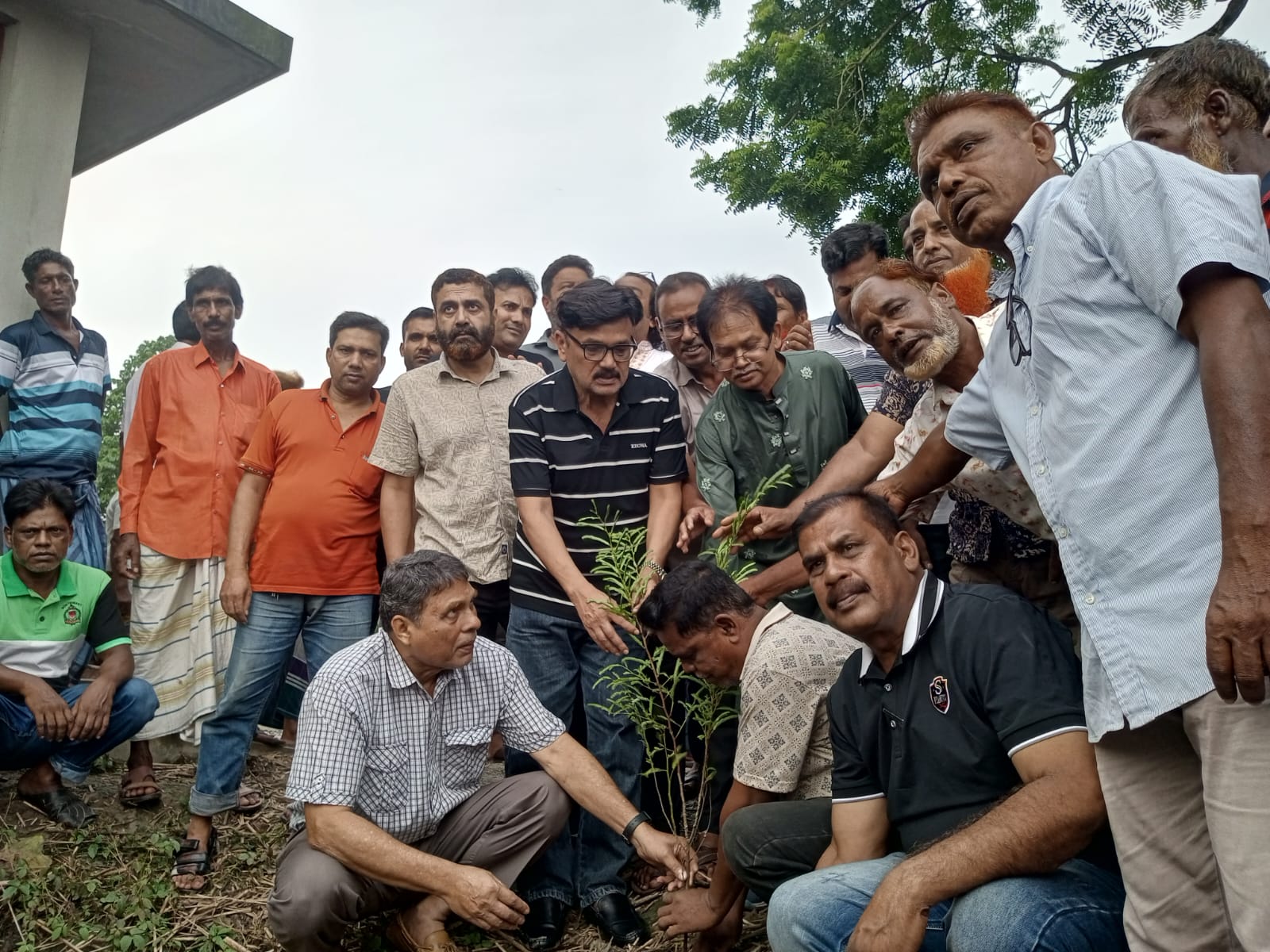 বিএনপির প্রতিষ্ঠাবার্ষিকীতে মেহেরপুরে বৃক্ষরোপণ কর্মসূচি