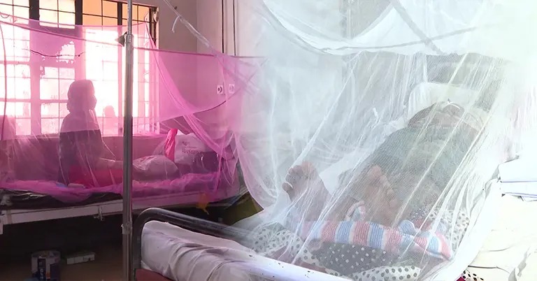 ডেঙ্গুতে চার মৃত্যু, এক দিনে হাসপাতালে ভর্তির রেকর্ড