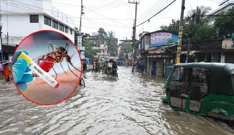 বৃষ্টির পর চট্টগ্রামে বাড়ছে ডেঙ্গু, সপ্তাহে আক্রান্ত ৫ শতাধিক