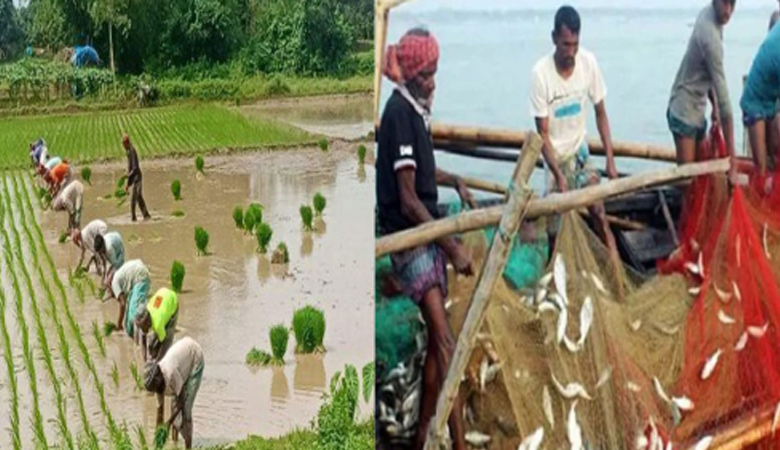 বাংলাদেশের ১০ হাজার কৃষক ও মৎস্যজীবী নেবে ওমান