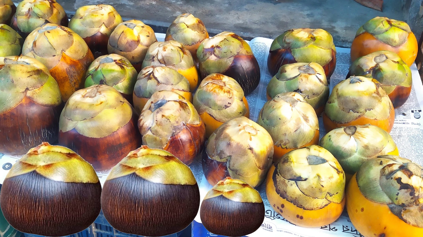 ভাদ্রের বাতাসে এখন পাকা তালের মিষ্টি ঘ্রাণ