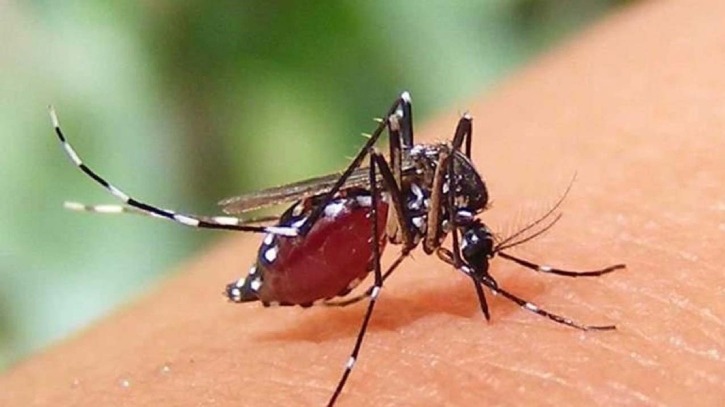 ডেঙ্গুতে মৃত্যু বেড়ে ১৪৩, হাসপাতালে আরো ১০৫৬