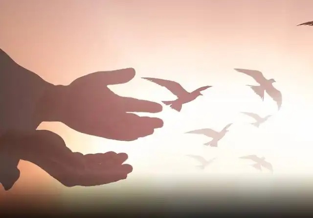 মানুষ সভ্যতার শুরু থেকেই সন্ধান করলেও প্রতিষ্ঠা পায়নি শান্তি