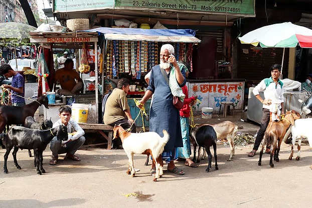 পশ্চিমবঙ্গে আবার চালু হচ্ছে বন্ধ থাকা পশুহাট