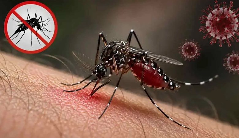 ডেঙ্গুতে ৬ জনের মৃত্যু, হাসপাতালে ভর্তি ২০৮৯