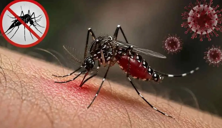 ডেঙ্গুতে মৃত্যু ৩০০ ছাড়ালো, আক্রান্ত লাখ ছুঁইছুঁই